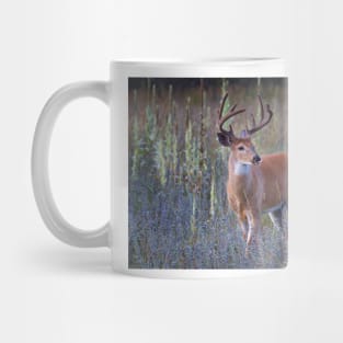 Early Morning White tailed Buck Mug